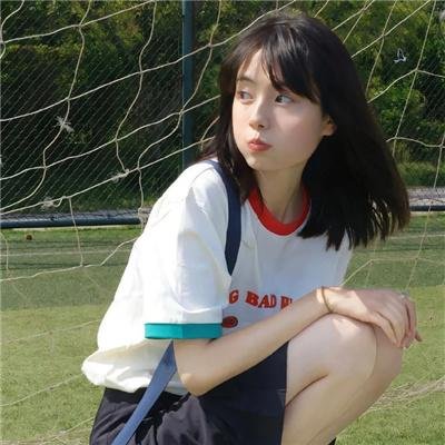 不死鸟之恋封面